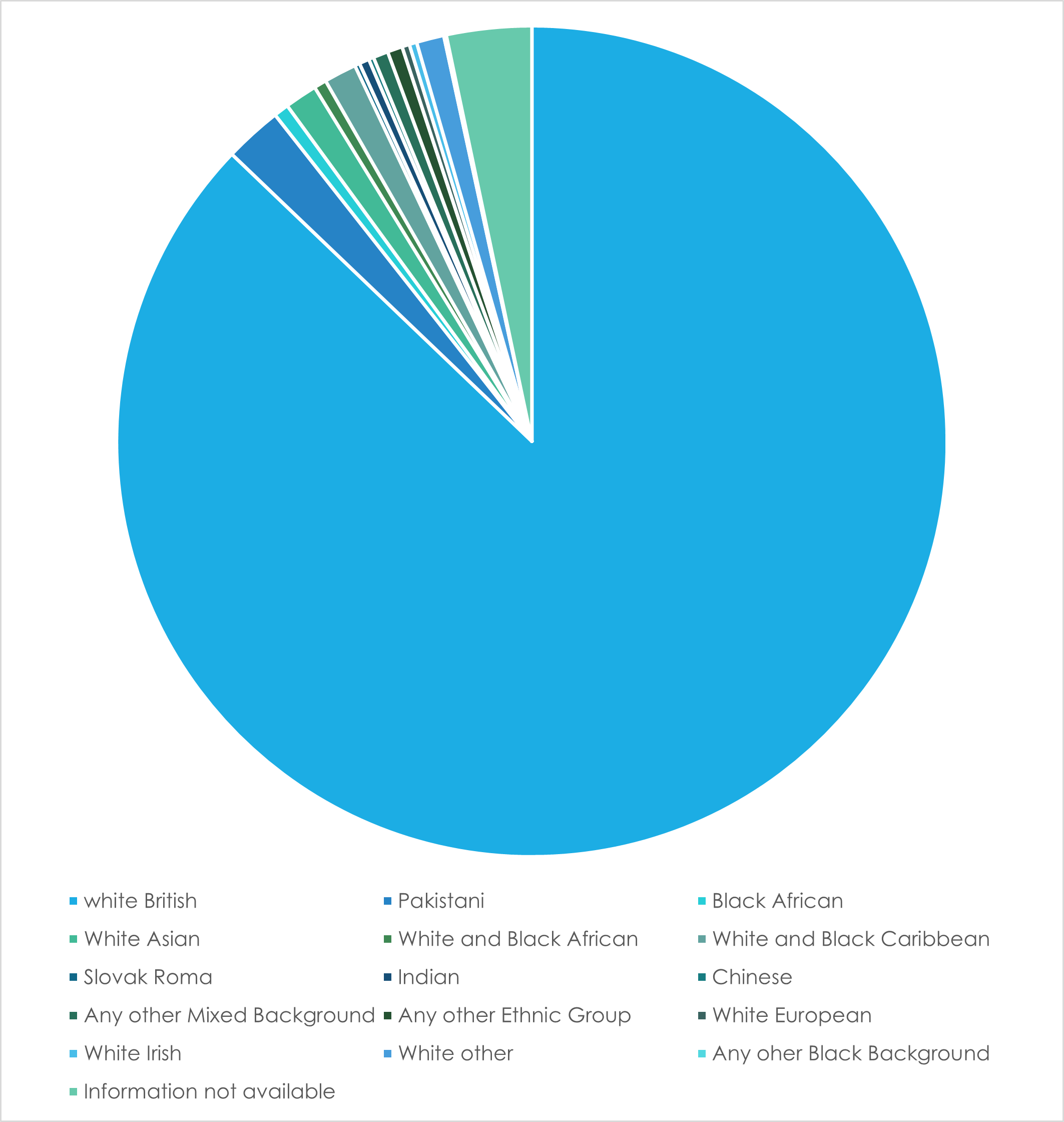 Ethnic minority monitoring